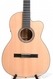 Martin 000c Nylon Crossover