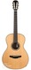 Poljakoff S-B 000 IRW - ADI, 00028S Model 12 Fret Fingerstyle Guitar