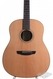 Goodall James RS Rosewood Dreadnought 2006