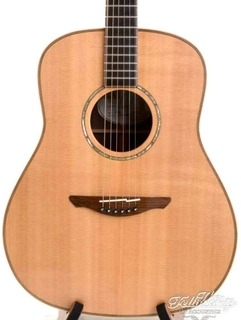 Avalon D 320 Dreadnought Gitaar, Recent, Near Mint