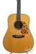 Martin CS16 Bluegrass Dreadnought MR/AD