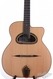 Aylward, Rob Rob Aylward D-hole Ziricote Gypsy Guitar