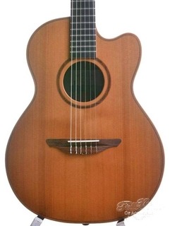 Avalon Sl 20cn Cedar Rosewood Nylon Crossover