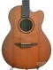 Avalon SL-20cn Cedar Rosewood Nylon Crossover