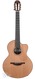 Lowden S25J Jazz Nylon Crossover