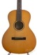 Waterloo By Collings WL-K Kel Kroydon Model Shaded Sunburst