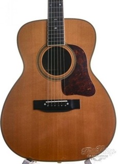 Gallagher A70 Om Model Ec