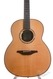 Mcilroy Guitars A56 Madagascar - Italian Spruce LR Baggs Anthem Near Mint 2012