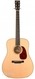 Collings D1-T Traditional Dreadnought With Case