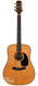 Vanden Mike Mike Vanden Dreadnought Brazilian with CITES 1987