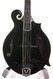 Weber Black Ice Series F Style Mandolin 2012