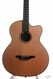 Avalon A1-20CN-12F Nylon Crossover Guitar