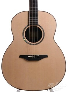 Mcilroy A50 Madagascar Rosewood   Sitka Spruce