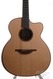 Lowden O50C Madagascar Rosewood - Alpine Spruce 2013