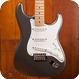 Fender Stratocaster 2013-Pewter