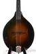 Pava Knezevic A-style Mandolin F-holes Used