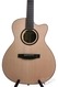 Lakewood M-31 CP LR Baggs Anthem