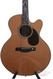 Santa Cruz F Tree Of Life Brazilan Rosewood Cedar Mint 1999