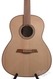 Sergei De Jonge Standard Steelstring Black Walnut White Spruce