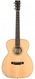 RR Roman Rudi RR OM1 Honduras Mahogany Alpine Spruce 2016