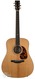 Boucher BG 42 GI Bluegrass Goose Dreadnought South American Mahogany-Gold Touch Adirondack