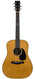 Santa Cruz Brad Paisley Signature #7629