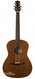 Petros Fingerstyle Ancient Redwood Macassar Ebony