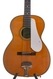 Fraulini Fransesca Stella 12 String 2014 1920