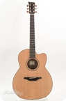 Mcilroy AP25c Performer Stage Walnut Cedar Cutaway