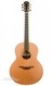 Lowden F35 Cuban Mahogany - Lefty LR Baggs Anthem 2017