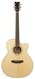 BSG GA27CF Indian Rosewood Spruce