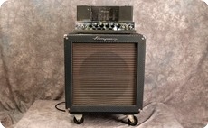 Ampeg B15 NF 1966 Blue Checked Tolex