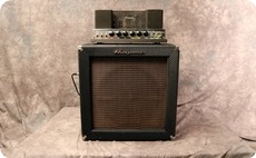 Ampeg B15 NF 1966 Blue Checked Tolex