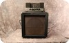 Ampeg B15 NF 1966 Blue Checked Tolex