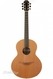 Lowden S35 Walnut Cedar 2012