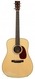 Collings D2HA Adirondack