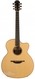 Lowden O50c Brazilian Rosewood Adirondack Spruce 2011