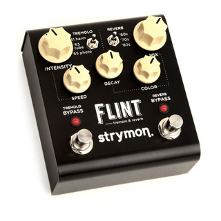 Strymon Flint Tremolo & Reverb