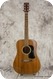 Washburn D-15M-Natural