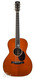 Santa Cruz Otis Taylor Indian Rosewood