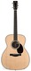 Santa Cruz OM Grand Indian Rosewood Spruce