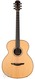 Avalon L2 20 Baritone Indian Rosewood Spruce Near Mint