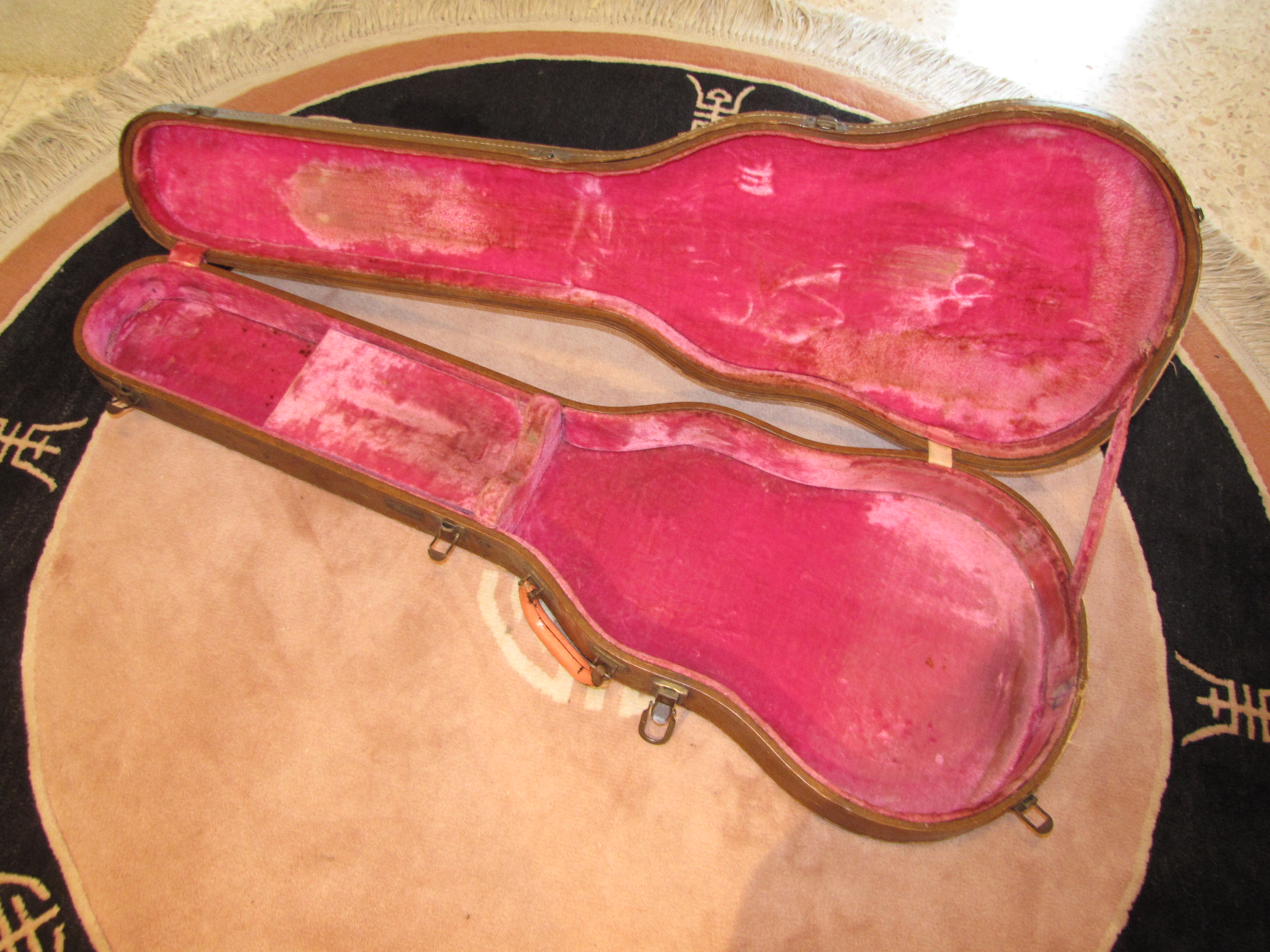 lifton les paul case