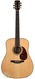 Boucher Studio Dreadnought Adirondack Mahagony 2010