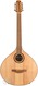 Dreizehnter Heiner Bouzouki Cittern 10 String 2007