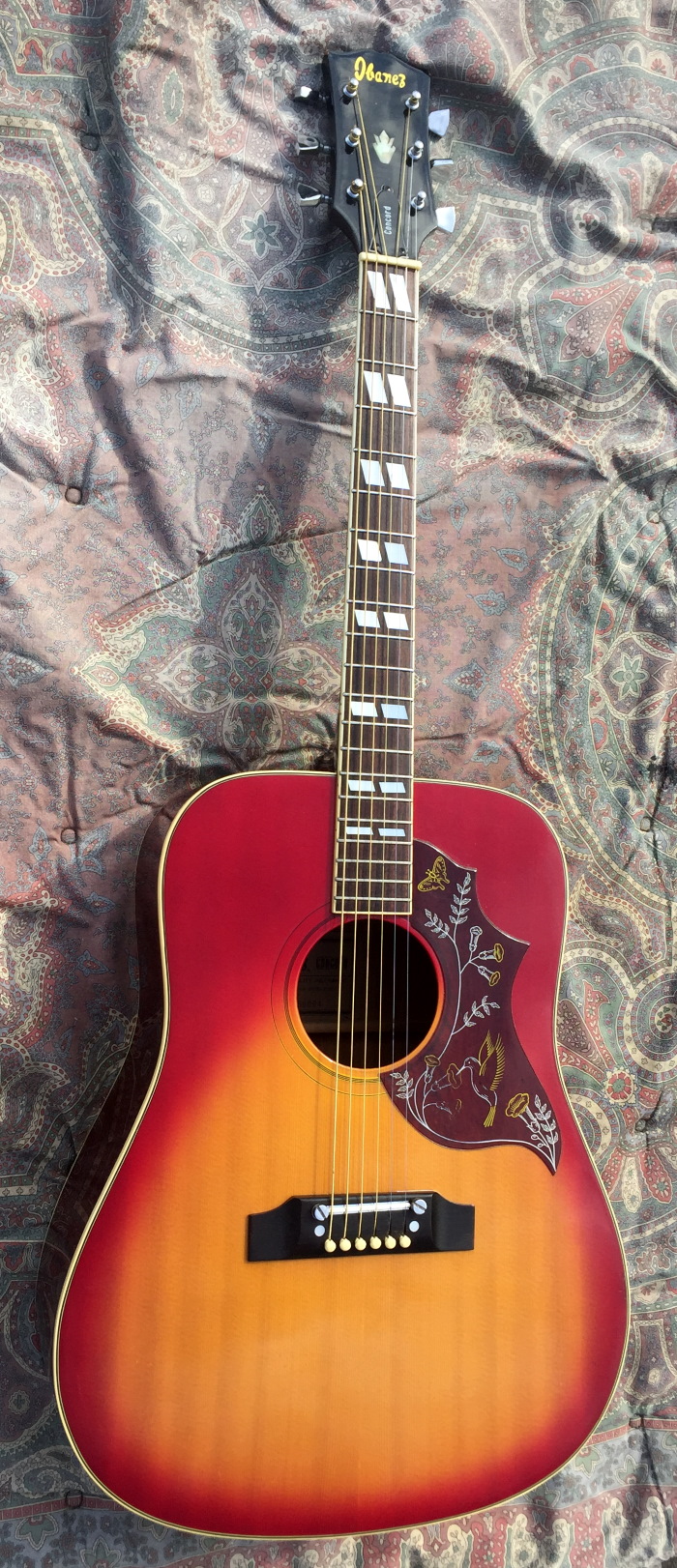 ibanez concord acoustic