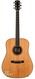 Larrivee Larrive D50 Bluegrass D60 Prototype 1993