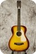 Stella 12-string-Sunburst