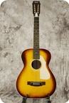 Stella 12 string Sunburst