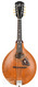 Gibson A1 Mandolin 1906